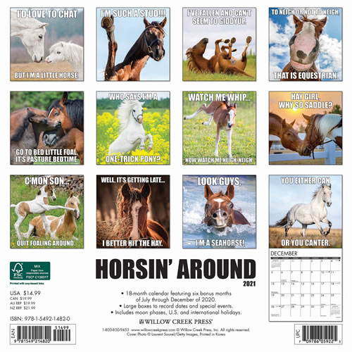 2021 Horsin Around Wall