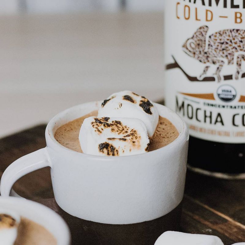 Chameleon Cold Brew Mocha Coffee Concentrate - 1qt