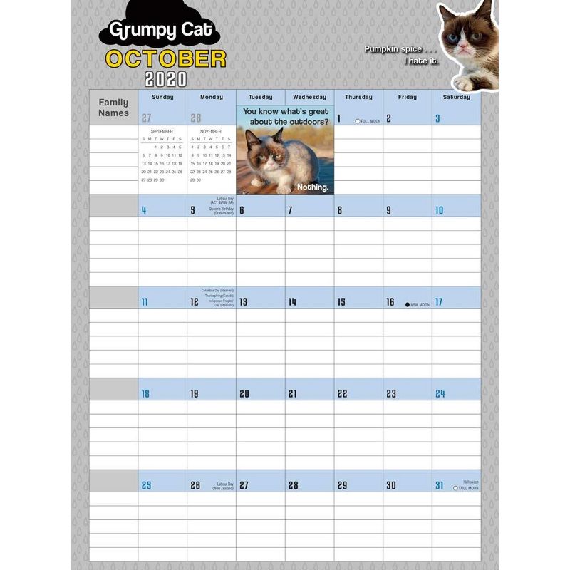 Sellers Publishing 2021 Grumpy Cat&Acirc;&reg; 17-Month Wall Calendar/Planner [Calendar] Grumpy Cat Limited