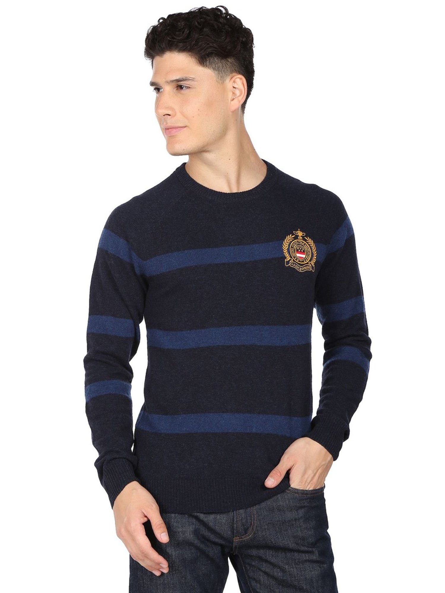 U.S. Polo Assn. Navy Blue Regular Fit Striped Sweater