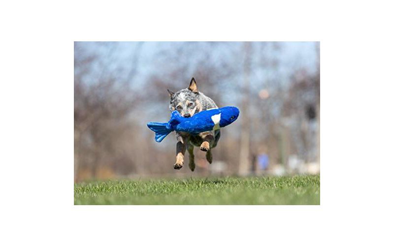 Fluff & Tuff Gil the Koi Fish, Extra Large Plush Dog Toy with Squeaker