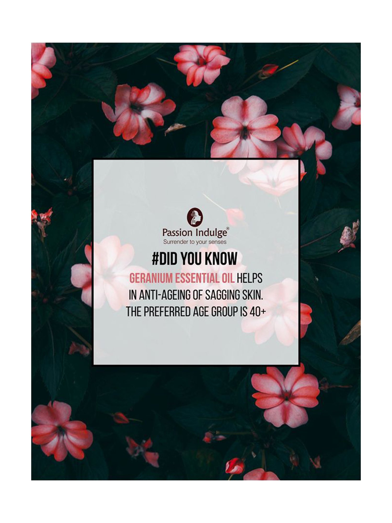 Passion Indulge Geranium Essential Oil - 10 ml