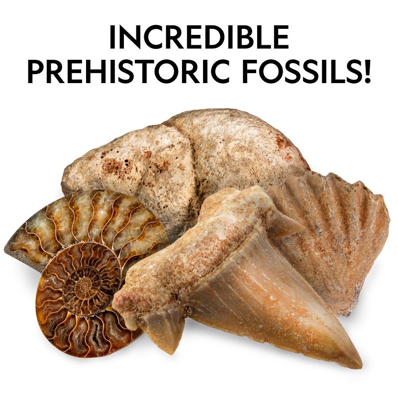 NATIONAL GEOGRAPHIC Rocks & Fossils Kit, 200+ Piece Set with Many Crystals, Gemstones, Geodes, Real Fossils, Rose Quartz, Jasper, Aventurine & More