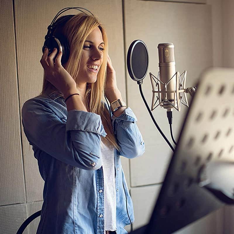 Microphone Pop Filter Mask Shield For Microphone  Dual Layered Wind Pop Screen With Flexible 360&deg;Gooseneck Clip Stabilizing Arm