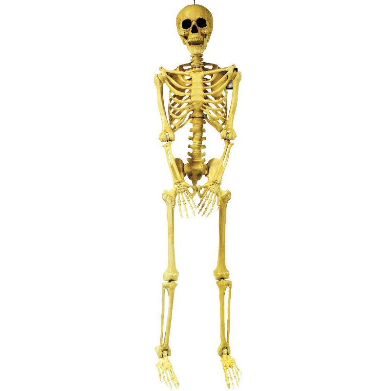 5' Skeleton Pose & Hold Halloween Decorative Holiday Mannequin