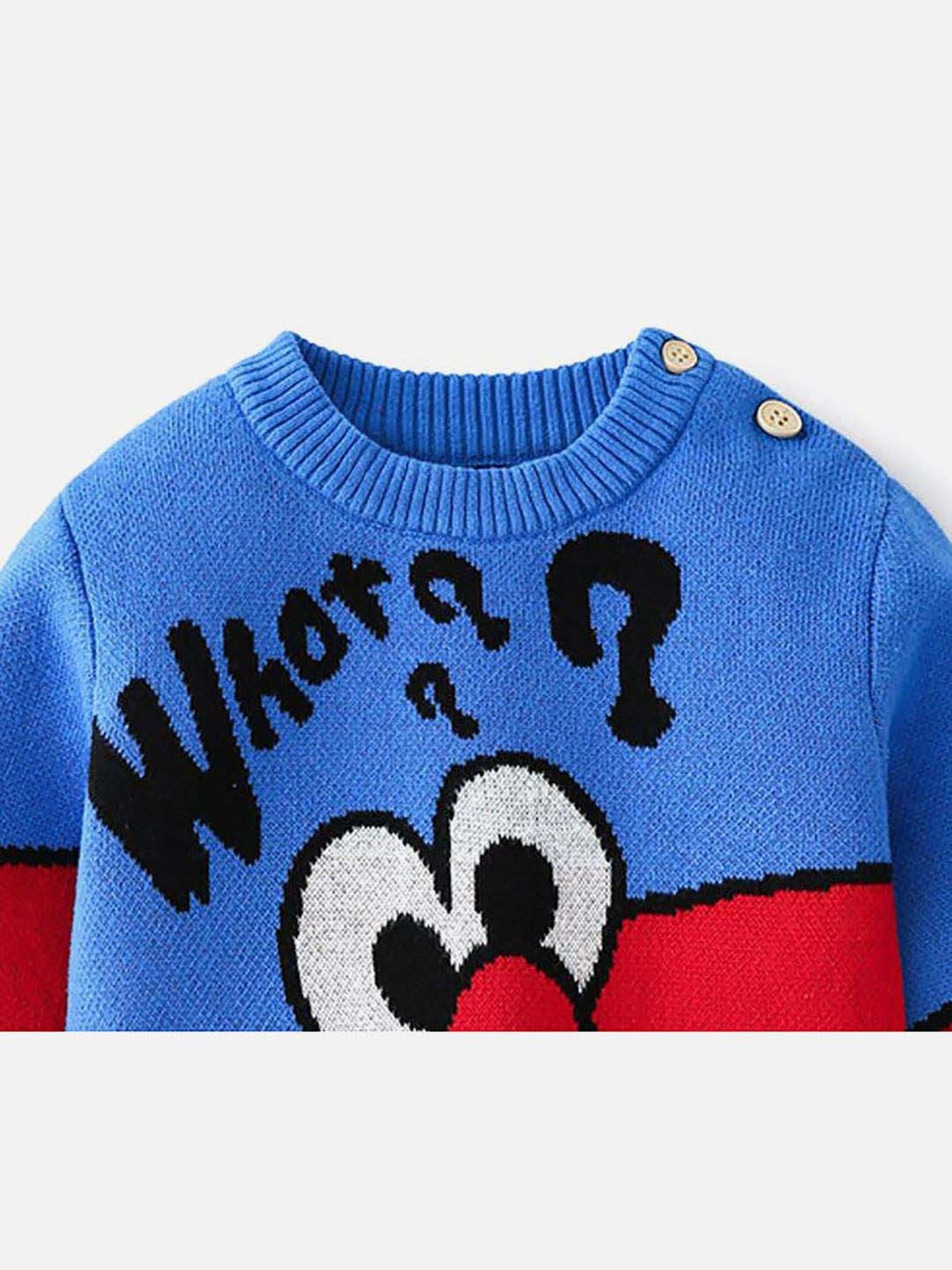 Little Surprise Box Kids Blue & Red Printed Full Sleeves Sweater