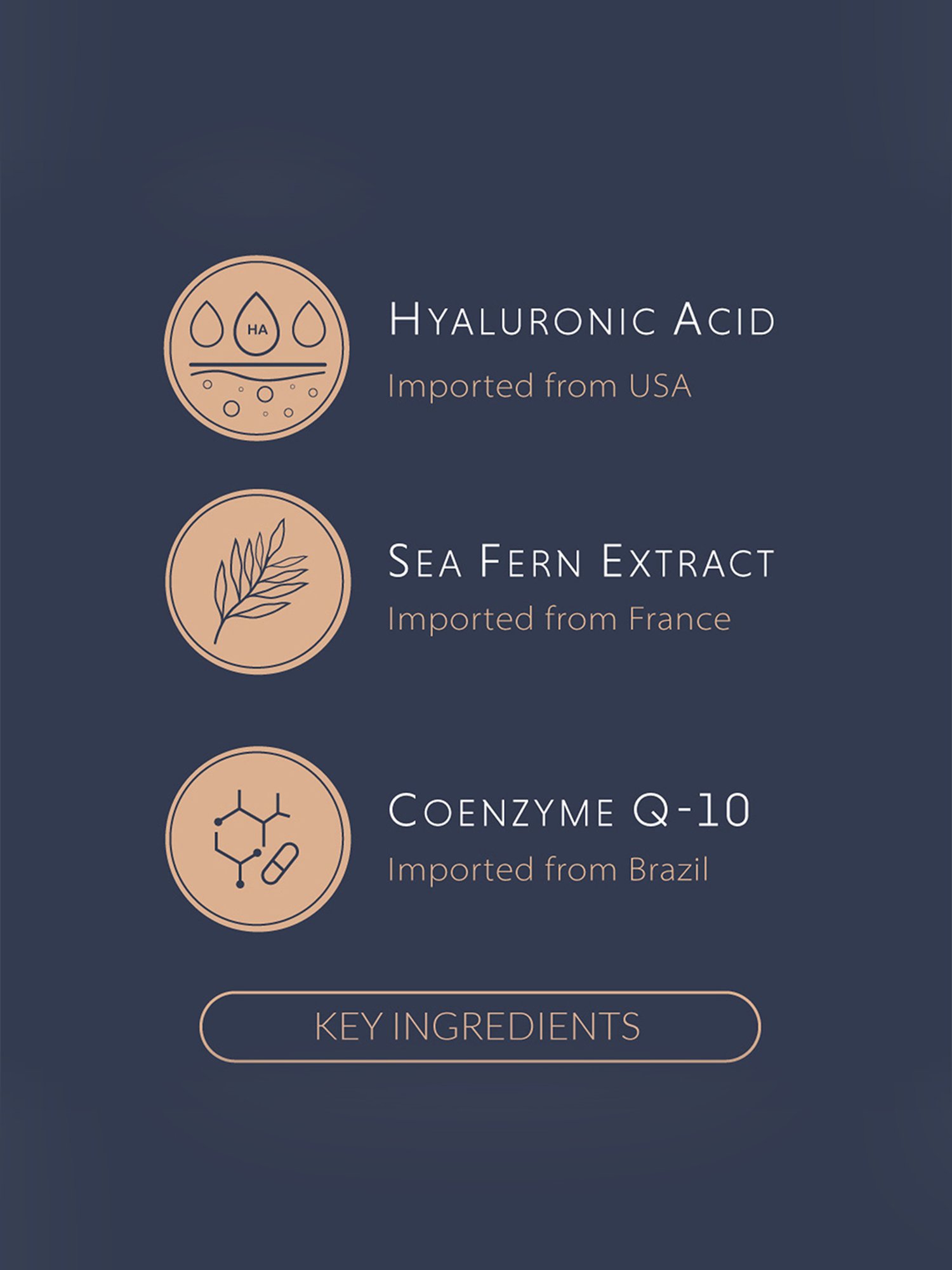 Vrija Hydrate Night Mask for Men & Women - 45 gm