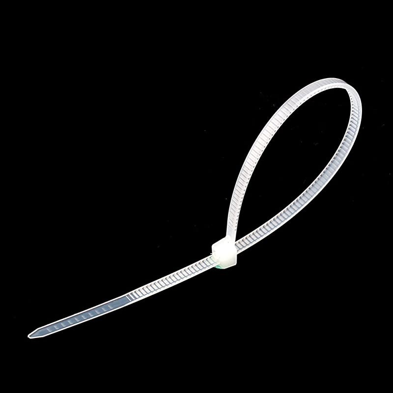 inches 30 lb Test Heavy Duty Nylon Cable Ties100 PCS Zip Ties 25mm200mm White