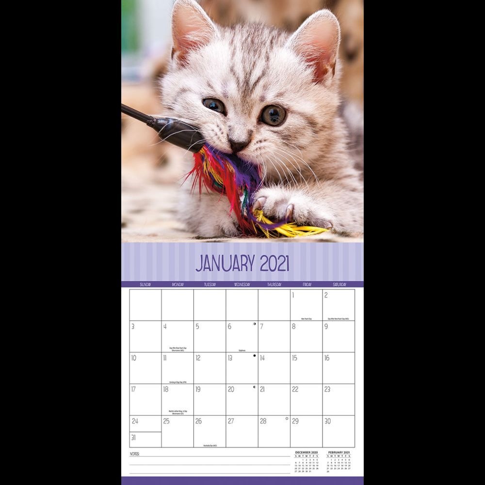 Turner Licensing,  Curious Kittens Mini Wall Calendar 2021