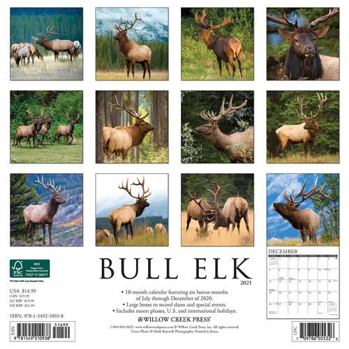 Graphique De France,  New York Glitz Mini Wall Calendar 2020