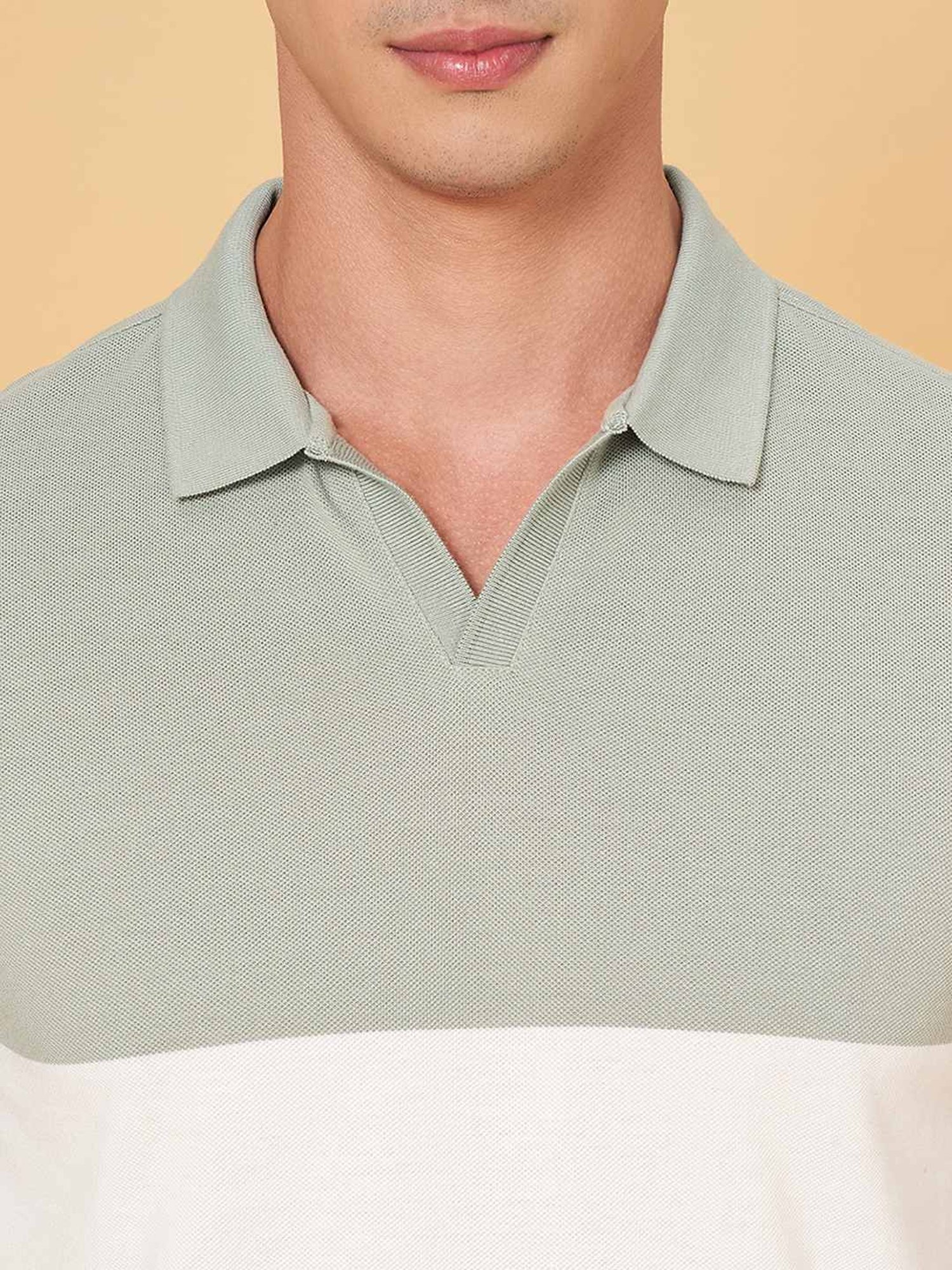 Byford By Pantaloons Light Green Slim Fit Colour Block Polo T-Shirt