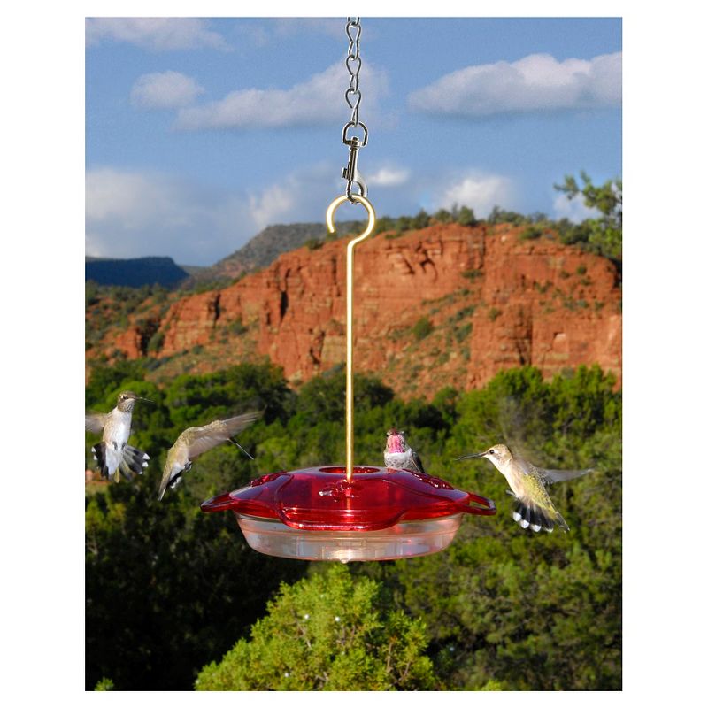 Droll Yankees Little Flyer 4 Hummingbird Feeder