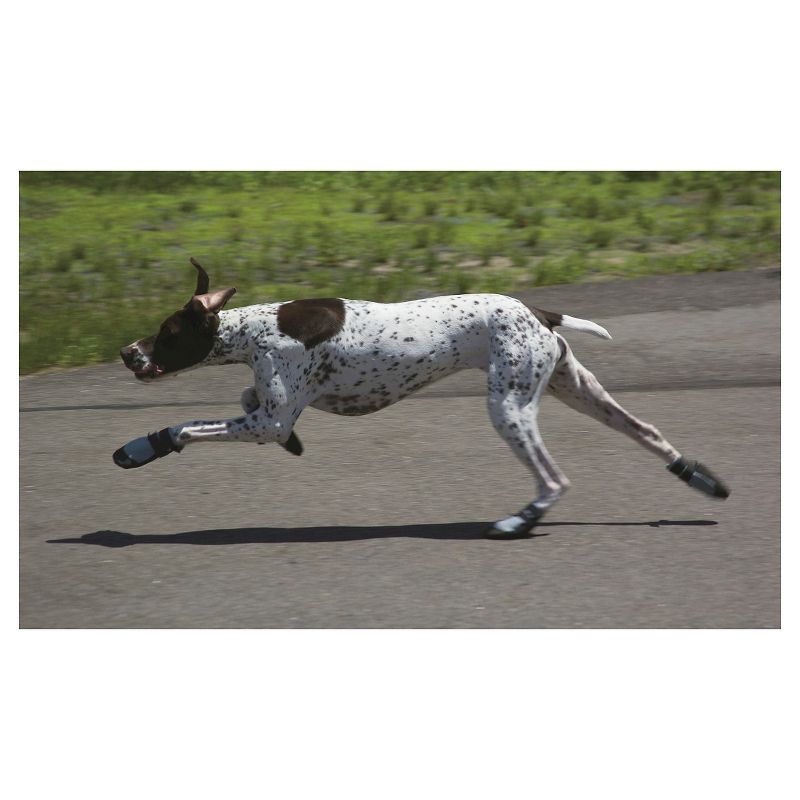 Royal Animals Dog Raincoat - Yellow - S