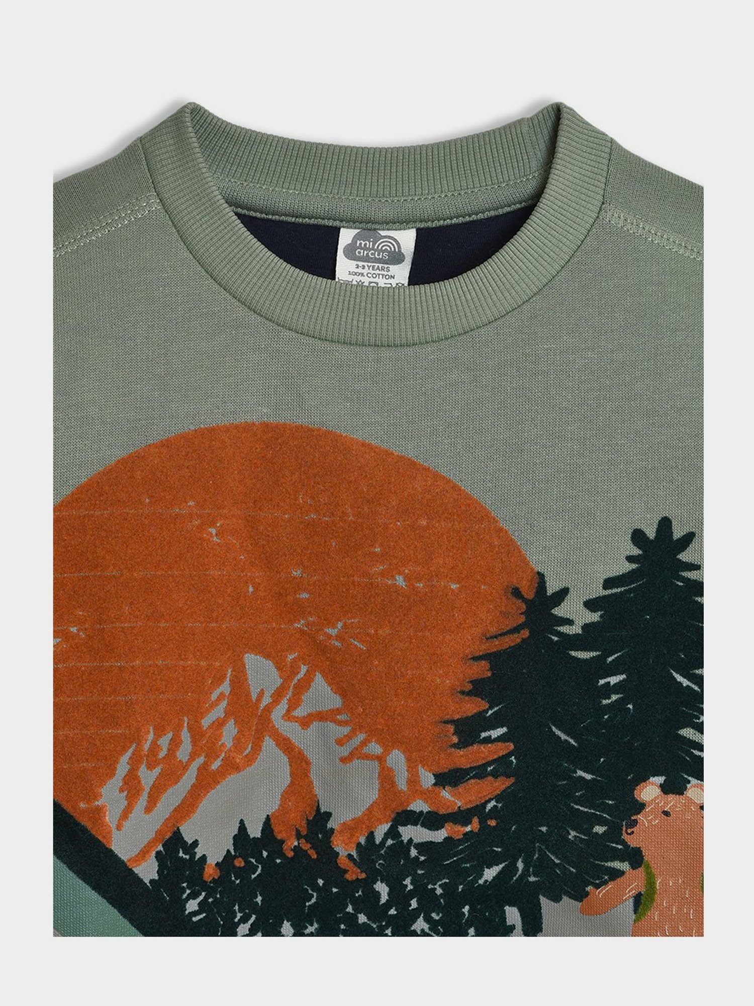 MiArcus Boys Green Printed Full Sleeves Sweatshirt