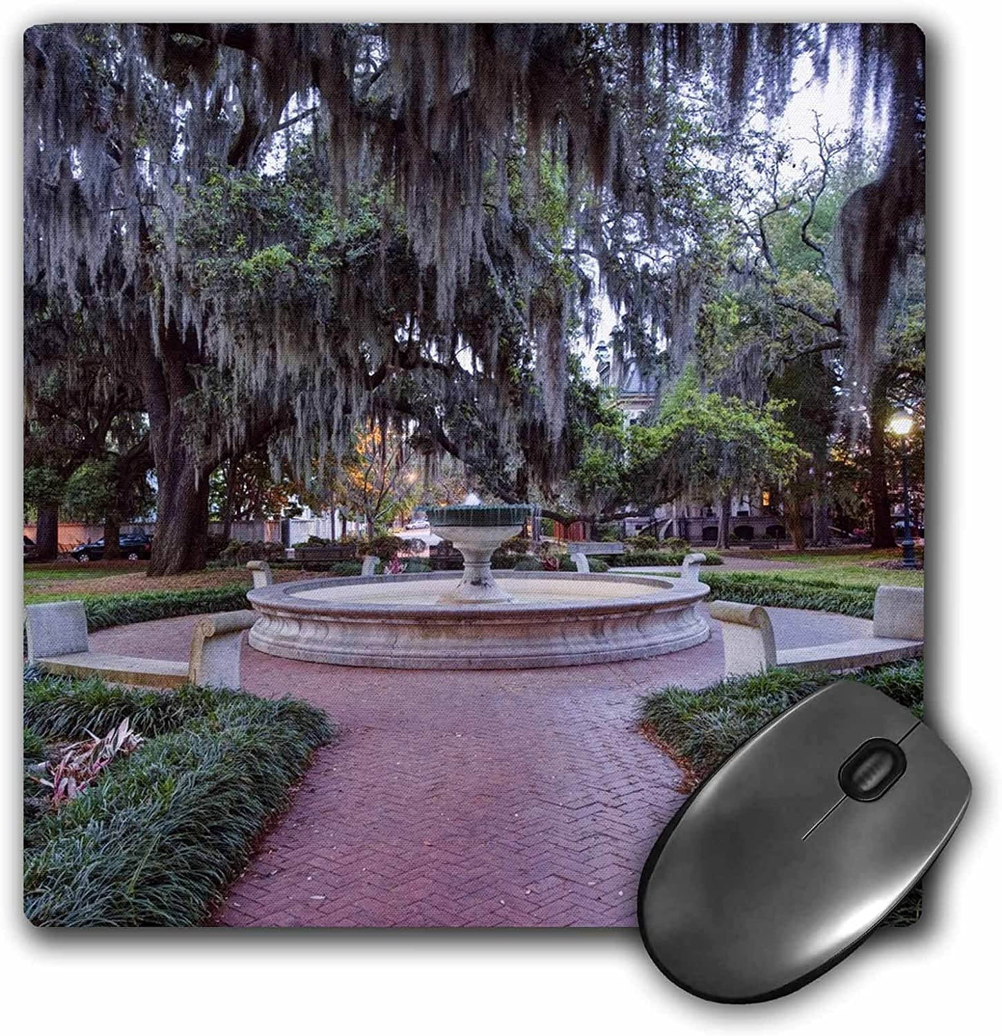 3D Rose"USA Georgia Savannah Orleans SquareUs11 Rti0024Rob Tilley" Matte Finish Mouse Pad - 8 x 8" - mp_143877_1