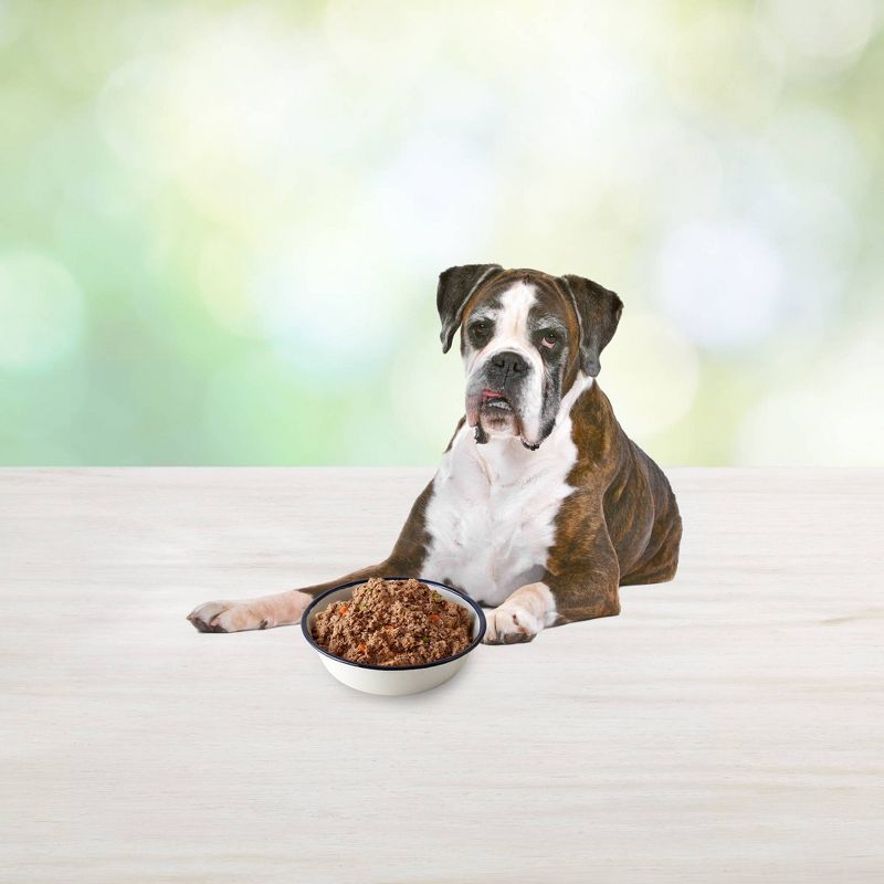 Blue Buffalo Freedom Grain Free Wet Dog Food Chicken Recipe Senior - 12.5oz/12ct Pack