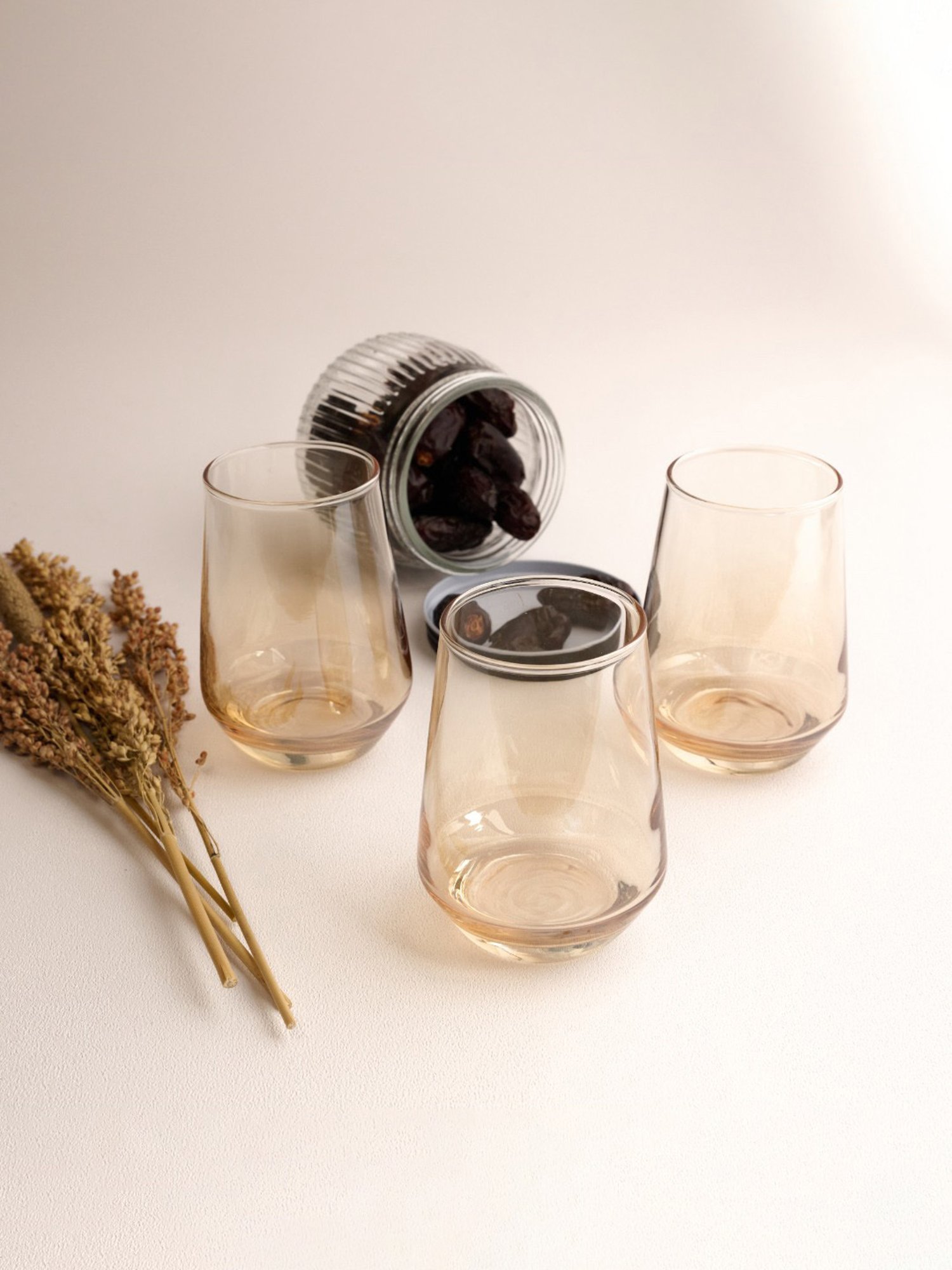 BlackCarrot Water Glass Set of 6