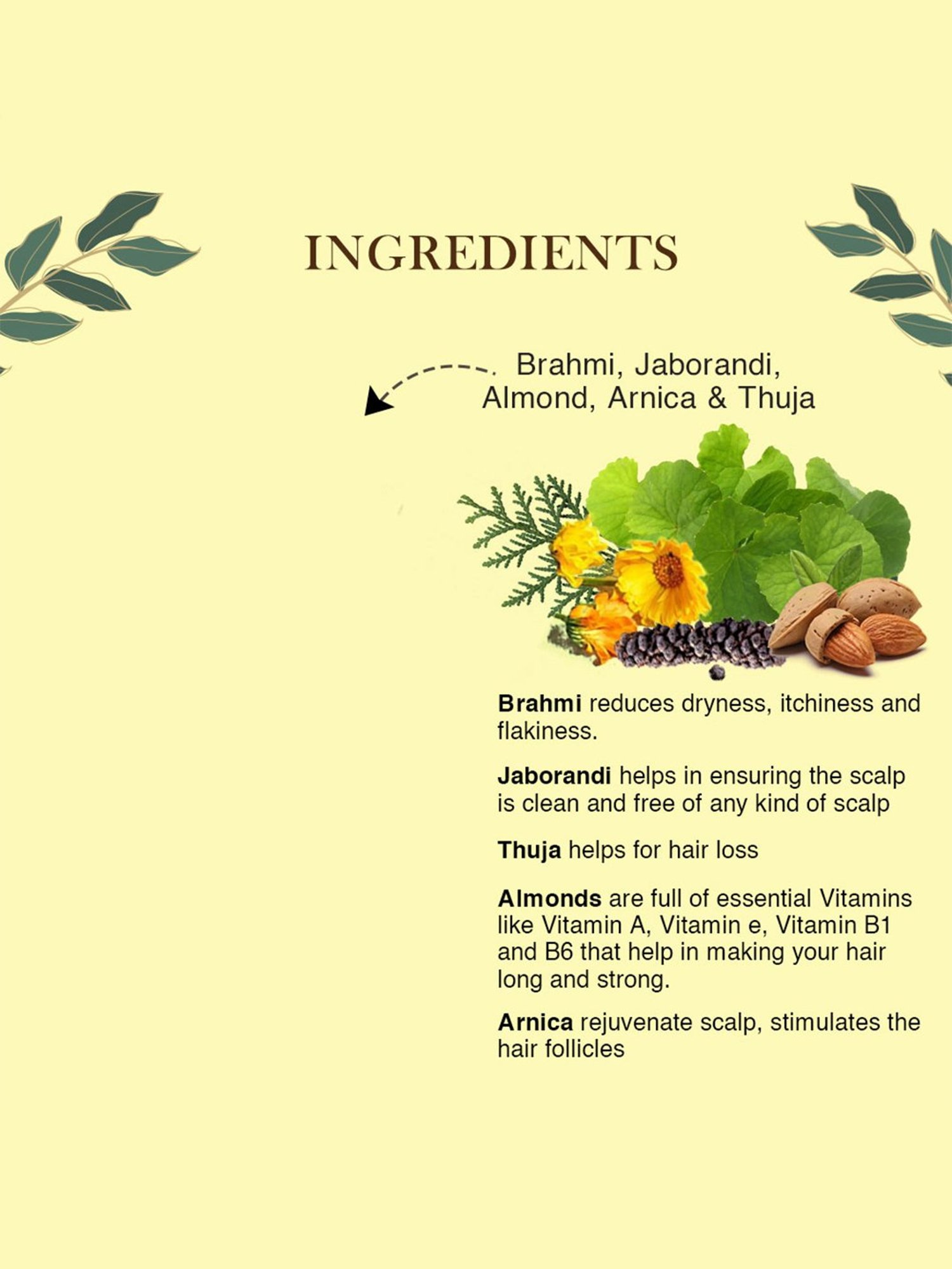 Richfeel Hair Root Nourisher - 80 ml