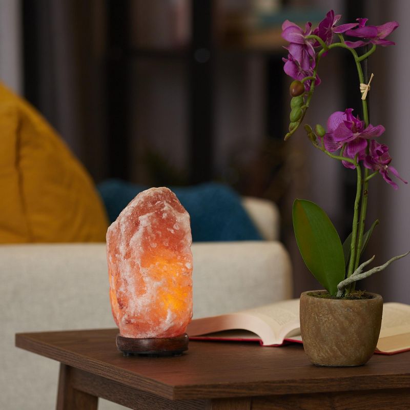 Salacia Heart of the Himalayan Electric Salt Lamp Light with Dimmer, Pink