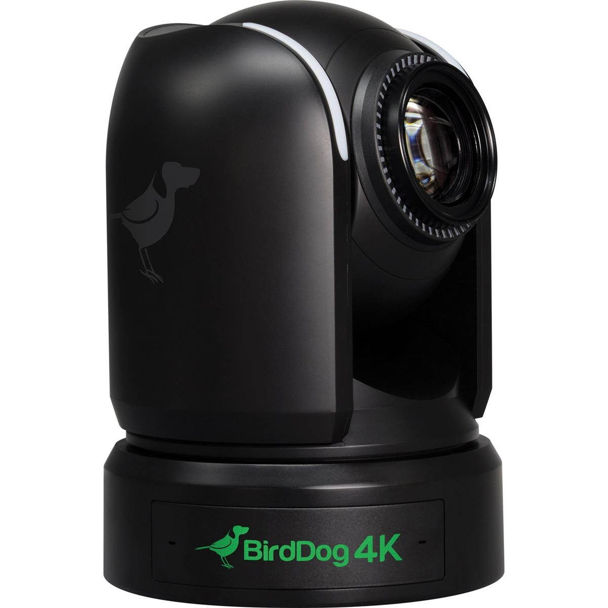 BirdDog P4K 14.2MP 4K Full NDI PTZ Camera with 1" Sony Sensor, Black #BDP4K