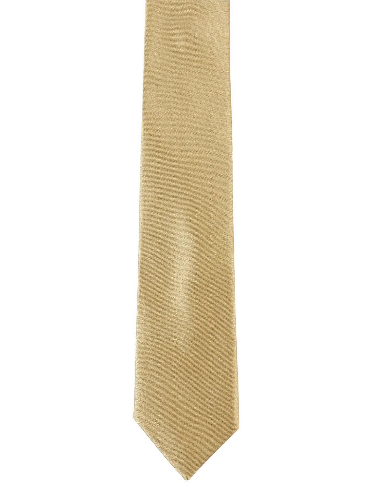 Alvaro Castagnino Solid Beige Necktie