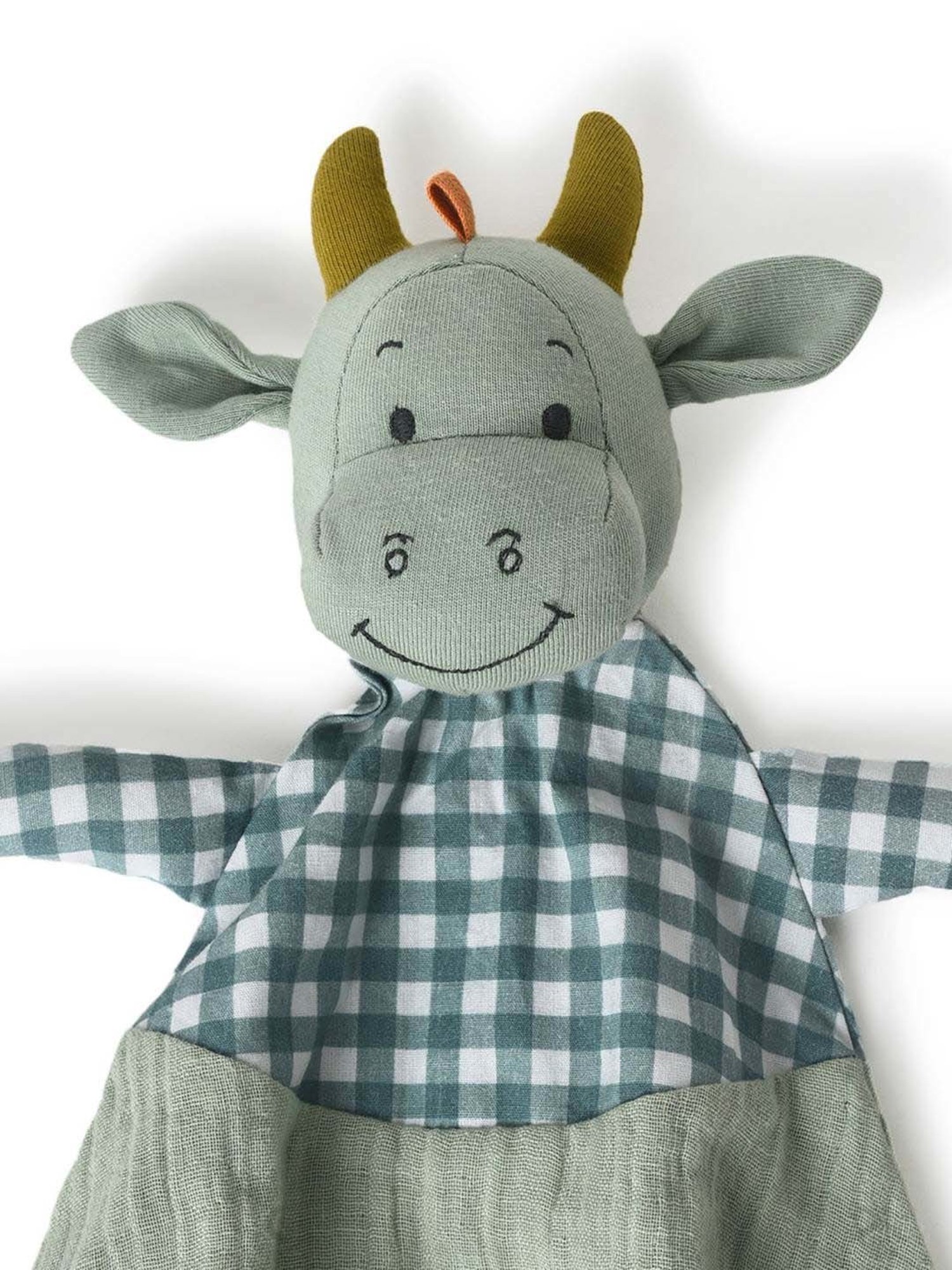 MiArcus Kids Green Playful Dino Set (Pack Of 2)