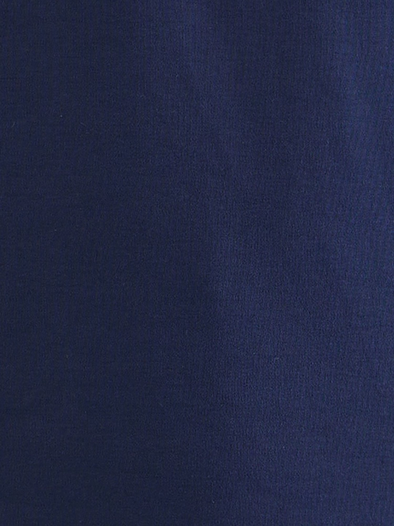 Colorplus Blue Regular Fit Polo T-Shirt
