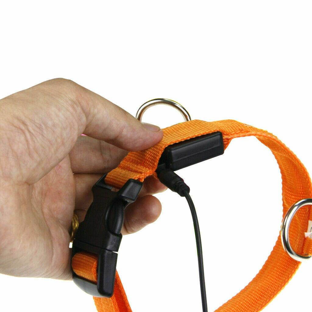Safety Dog LED Collar Blinking Night Flashing Light Up Glow Adjustable Pets USA