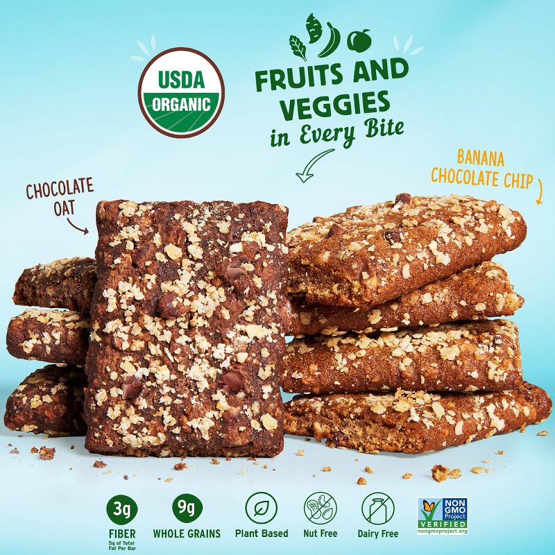 Nature's Bakery Baked-Ins Organic Banana Chocolate Chip - 7.62oz