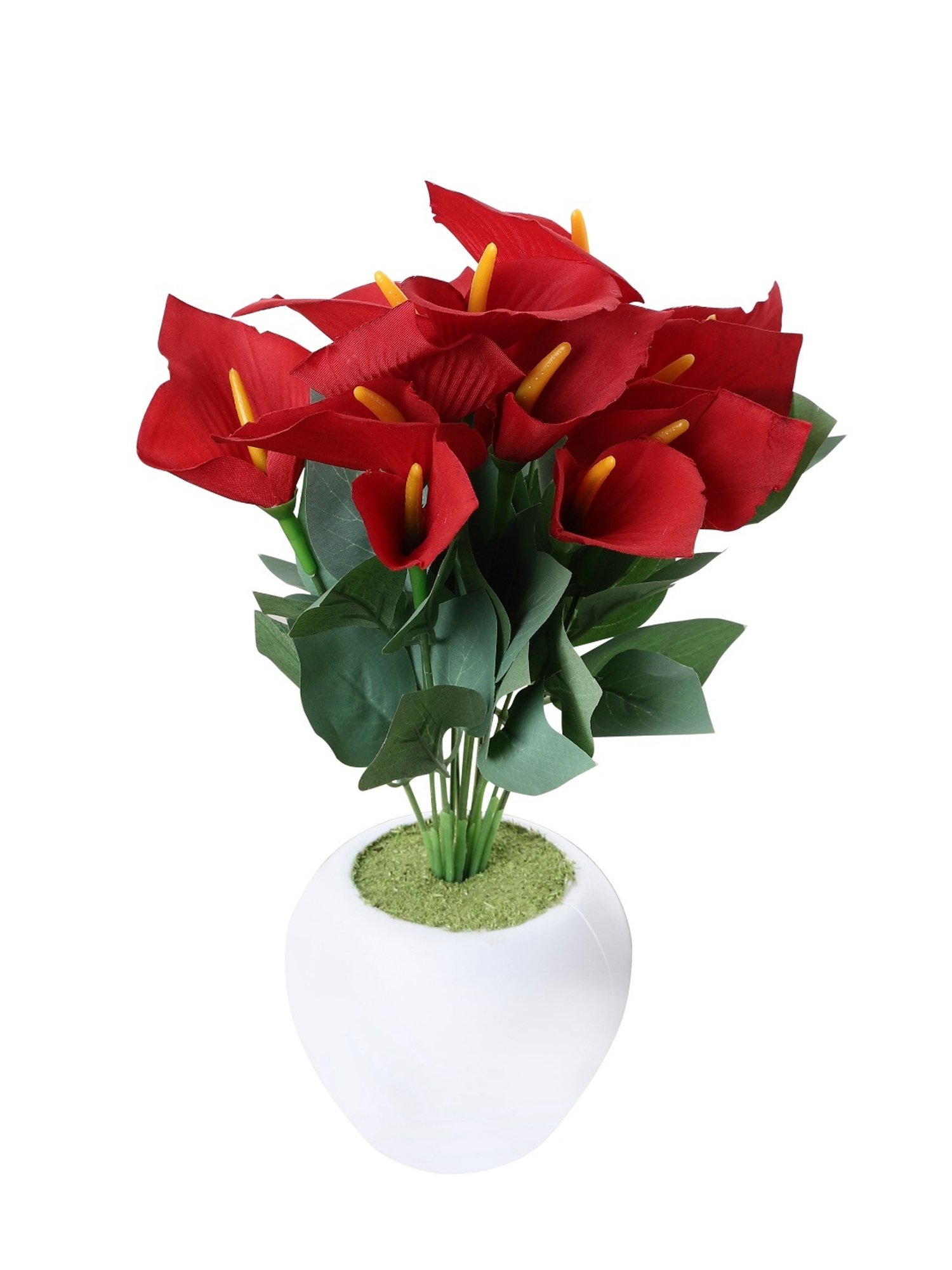 Foliyaj Multicolor Plastic Artificial Anthurium