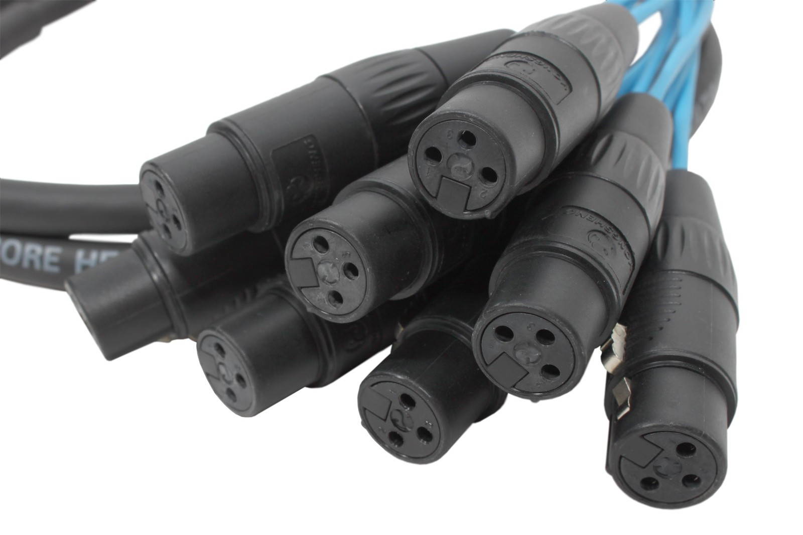 Elite Core 25-pin D-Sub to 8 XLR Female Breakout Snake Cable - 5' length