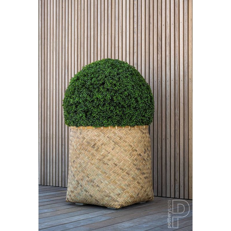 Large Boxwood Indoor/Outdoor Round Artificial Plant Green - Pottery Pots