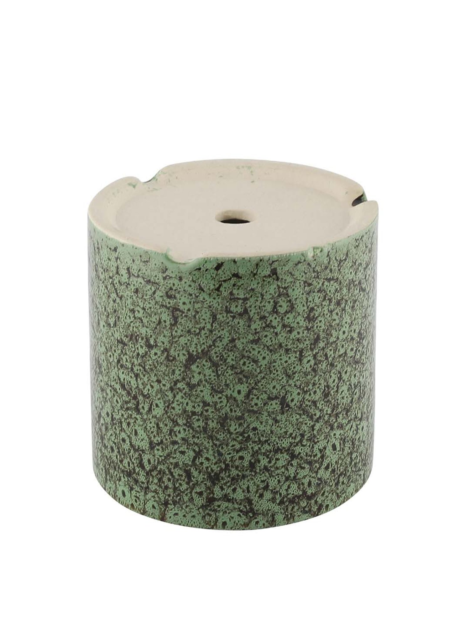 VarEesha Foliage Green Ceramic Planter Pot - Set of 1