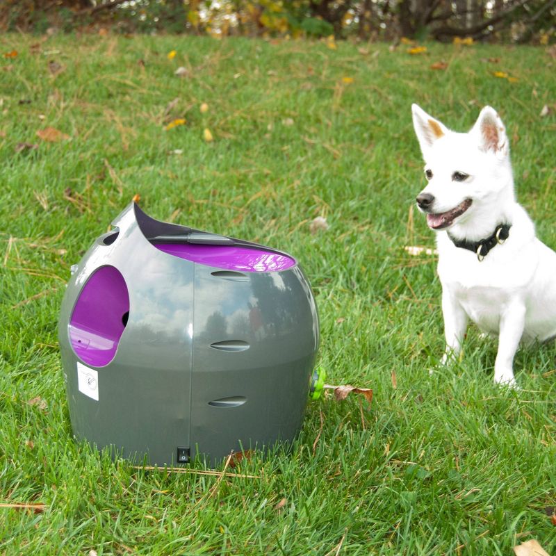 PetSafe Automatic Ball Launcher - Gray