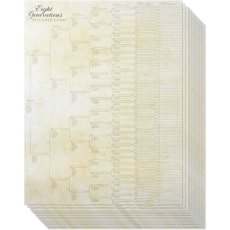 Sustainable Greetings 50 Sheets Black Stationary Paper for Arts Crafts, A4 Letter Size 8.5 x 11 in