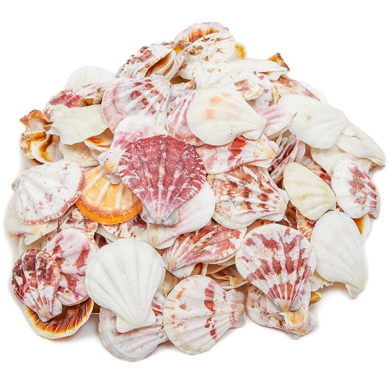 Bright Creations White Pearl Beads Chain Trim Roll for Wedding Garland, DIY Crafts, 0.31 in. x 65 ft