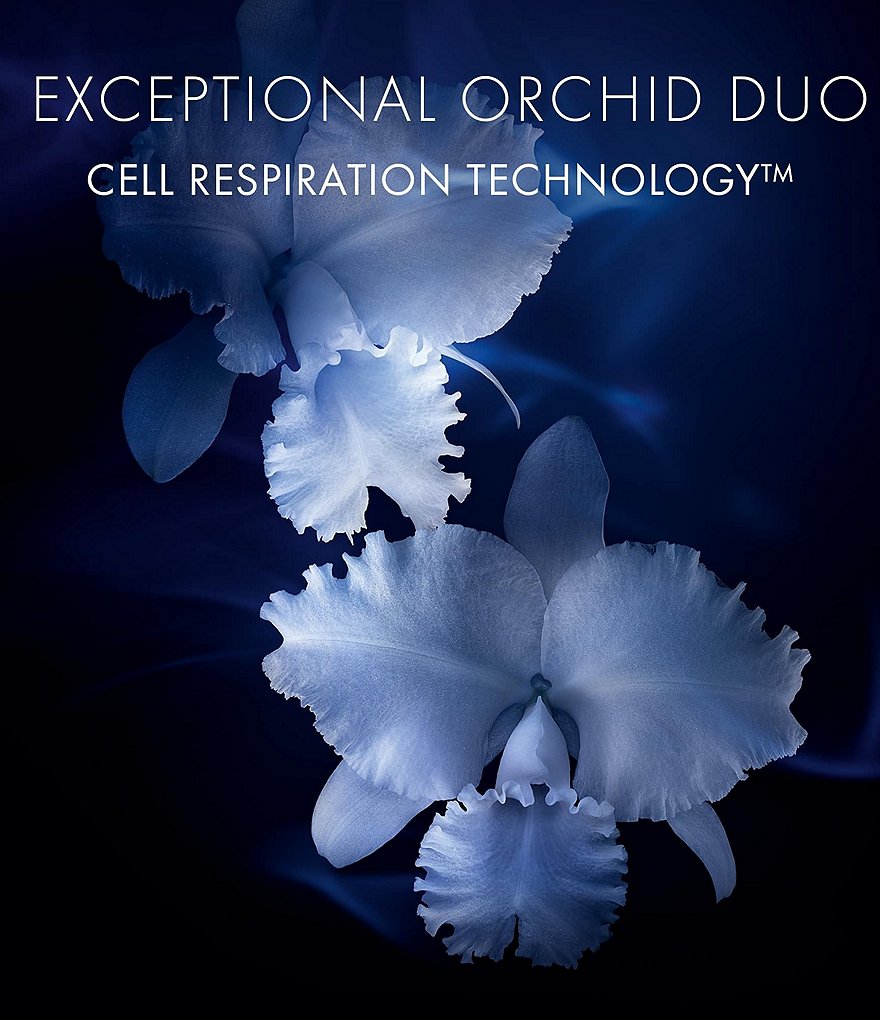 MARIO BADESCU Mini Mists Holiday Set