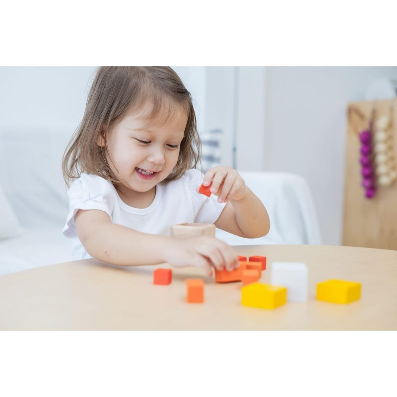 PlanToys FRACTION CUBES