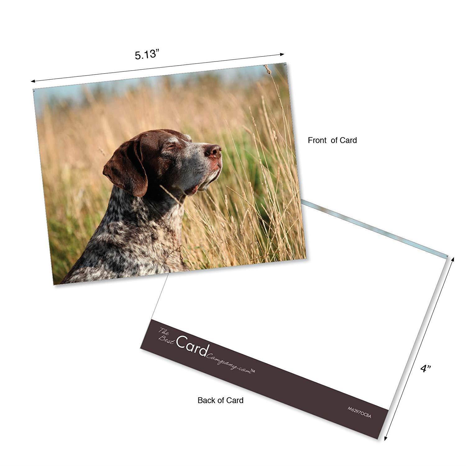 Playful Pointers - 10 Assorted Blank Note Cards with Envelopes (4" x 5-1/8") - Adorable German Shorthaired Dog Breed All-Occasion Greeting Cards - Puppy & Animal Notecard Stationery #AM6297OCB-B1x10