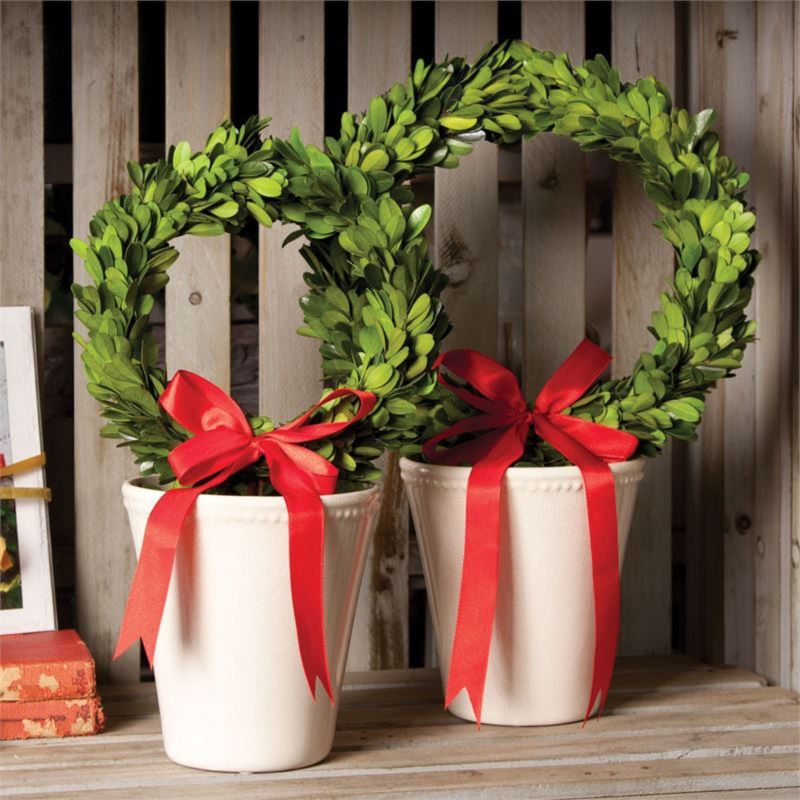 Napa Home and Garden 15" Cream/Green Preserved Boxwood Evergreen Planter Pot Christmas Wreath