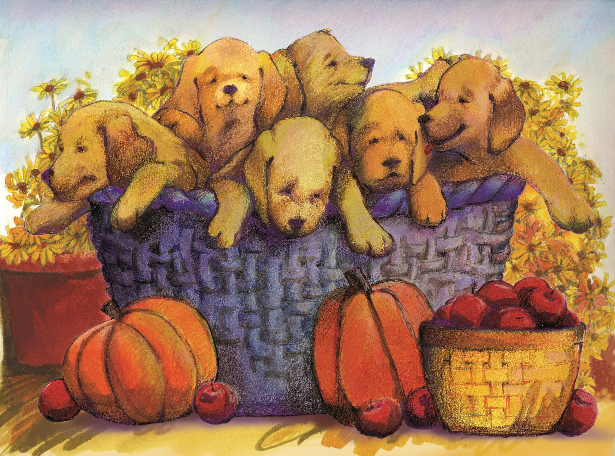 Thanksgiving Greeting Cards - Bountiful Basket - BB100. Business Greeting Card Featuring Puppies Next to Pumpkins and Apples. Box Set has 25 Greeting Cards and 26 Pumpkin Orange Colored Envelopes.