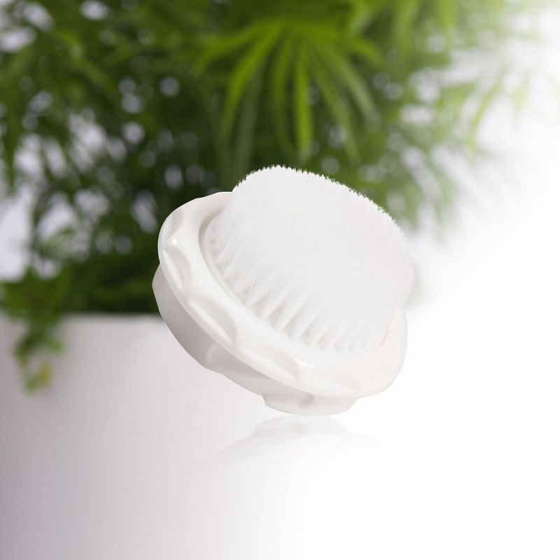 Skin Camp Dermaplaning Tool - 2pk