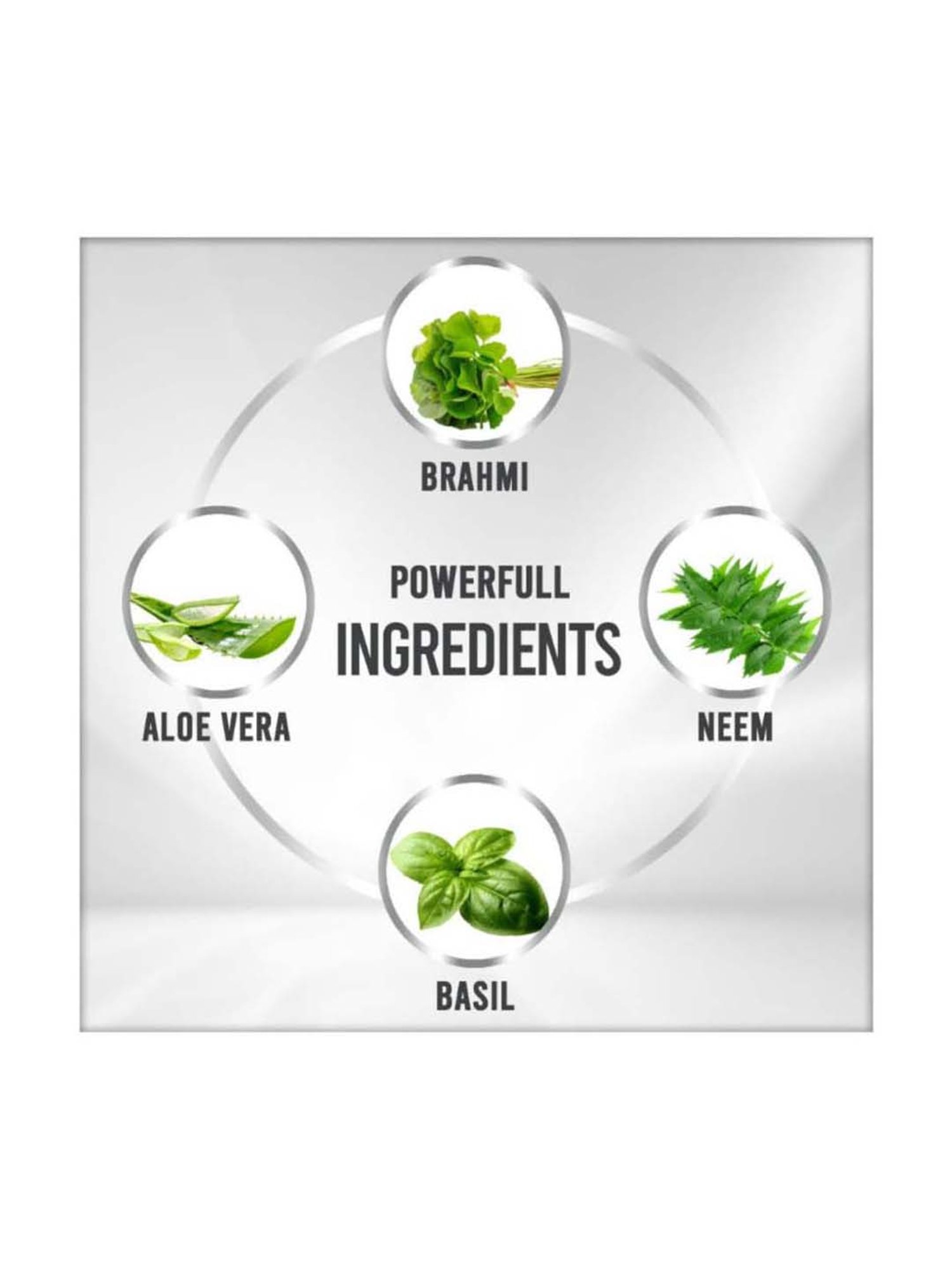 VEDIC LINE Neem and Brahmi Herbal Facial Kit