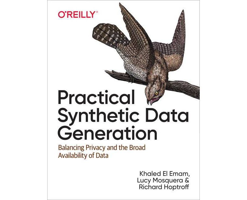 Practical Synthetic Data Generation - by  Khaled El Emam & Lucy Mosquera & Richard Hoptroff (Paperback)