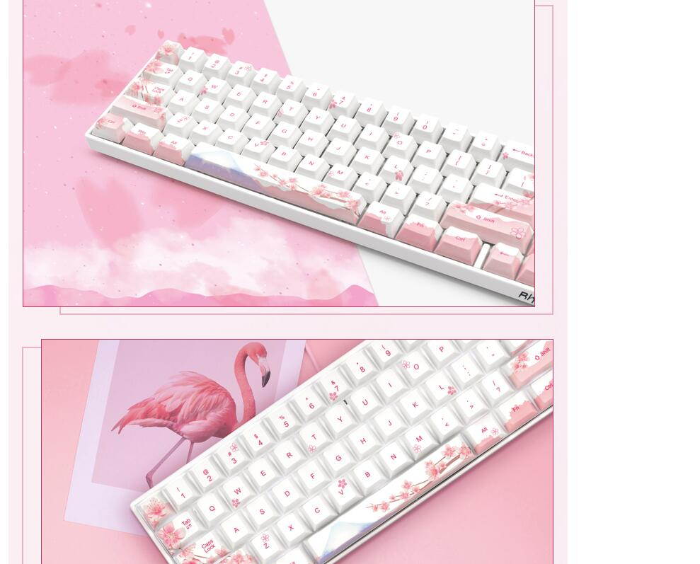 RK71 Mechanical Keyboard RGB Backlit 71 Keys Small Compact Gaming Keyboard, PBT Keycaps Wired/Wireless Bluetooth Mini Keyboard for iOS Android Windows PC and MacOS, Blue Switch( Cherry Blossom)