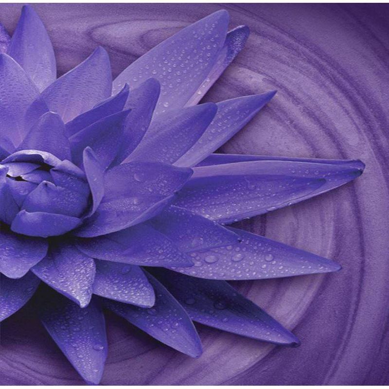 Caress Lotus & Copaiba Oil Body Wash - 18.6 fl oz