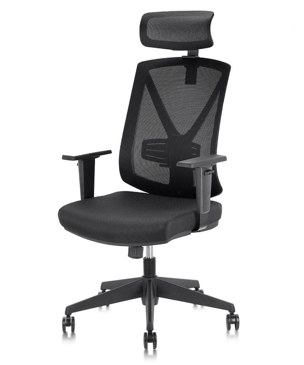 COLAMY Tito-Pro Ergonomic Mesh Desk Chair With Headrest