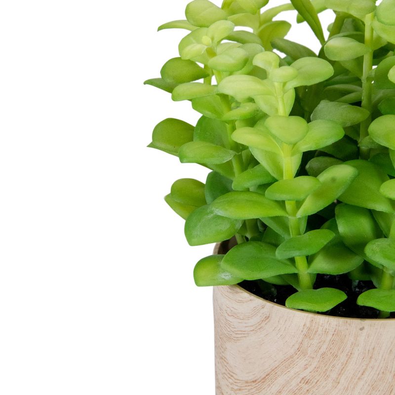 Northlight 10" Green Artificial Privet Plant in Faux Wood Pot