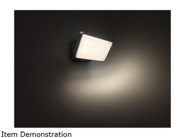 Philips Hue 1743630V7 Welcome Outdoor Floodlight