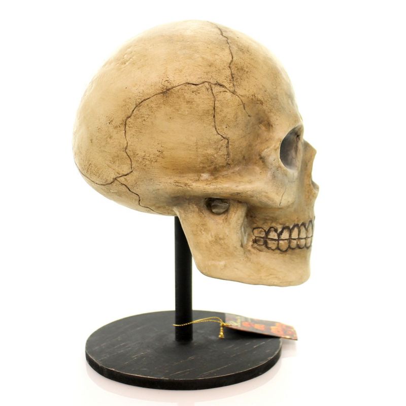 Halloween Bone Head Skeleton Skullbuggery  -  Decorative Figurines